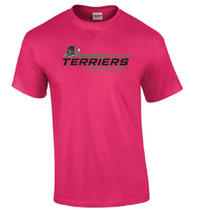 G200 Gildan Ultra Cotton T-Shirt - Heliconia